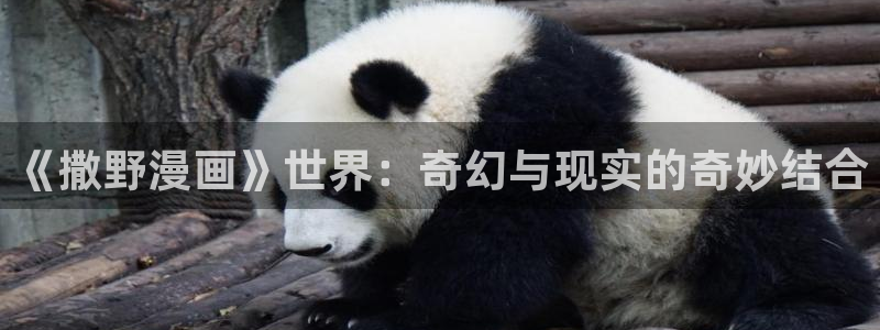 歪歪漫画网页免费漫画