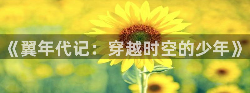 韩国歪歪漫画破解版：《翼年代记：穿越时空的少年》