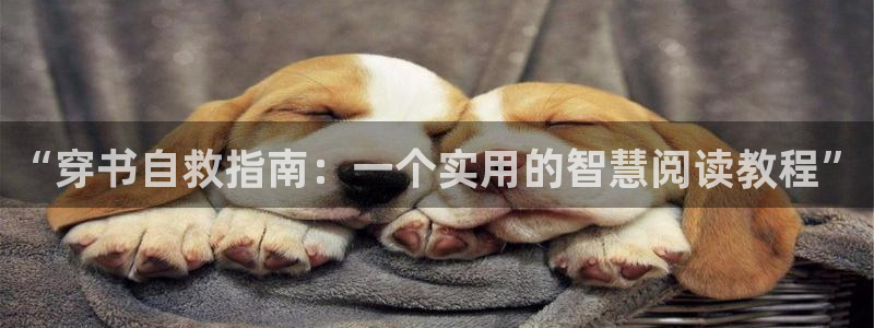 网址歪歪漫画：“穿书自救指南：一个实用的智慧阅读教程”